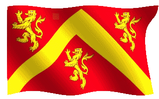 anglesey flag